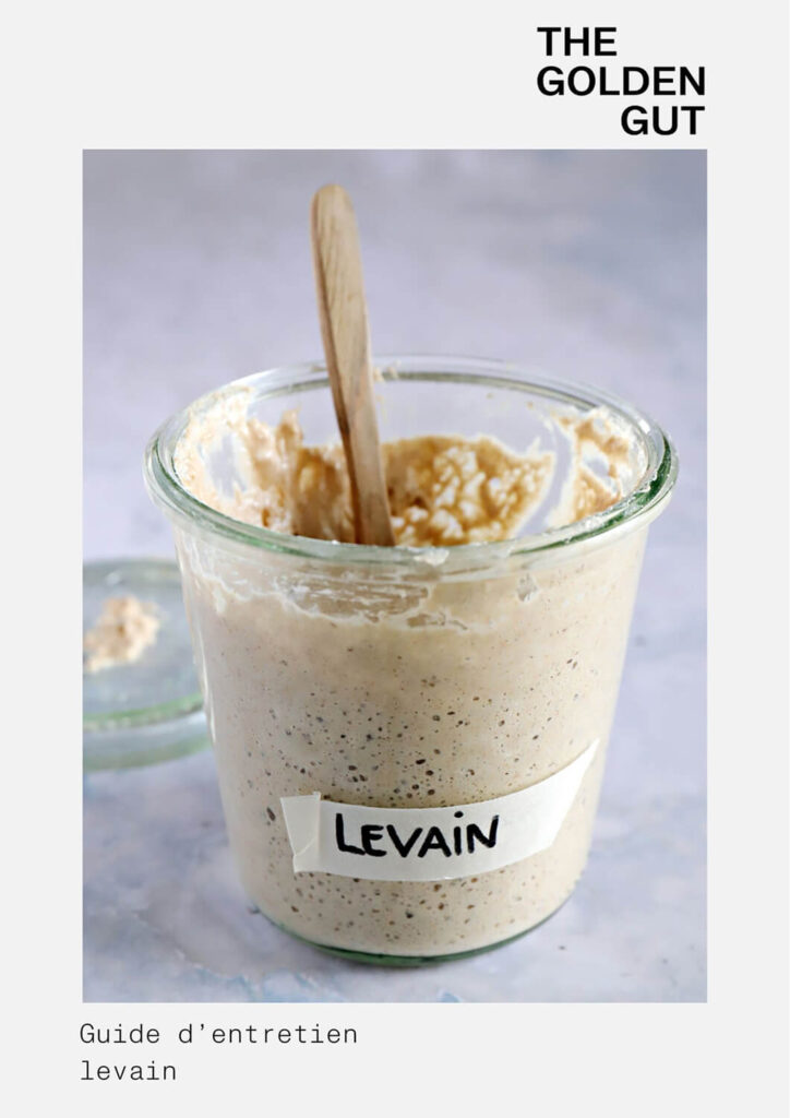 the golden gut ebook guide entretien du levain