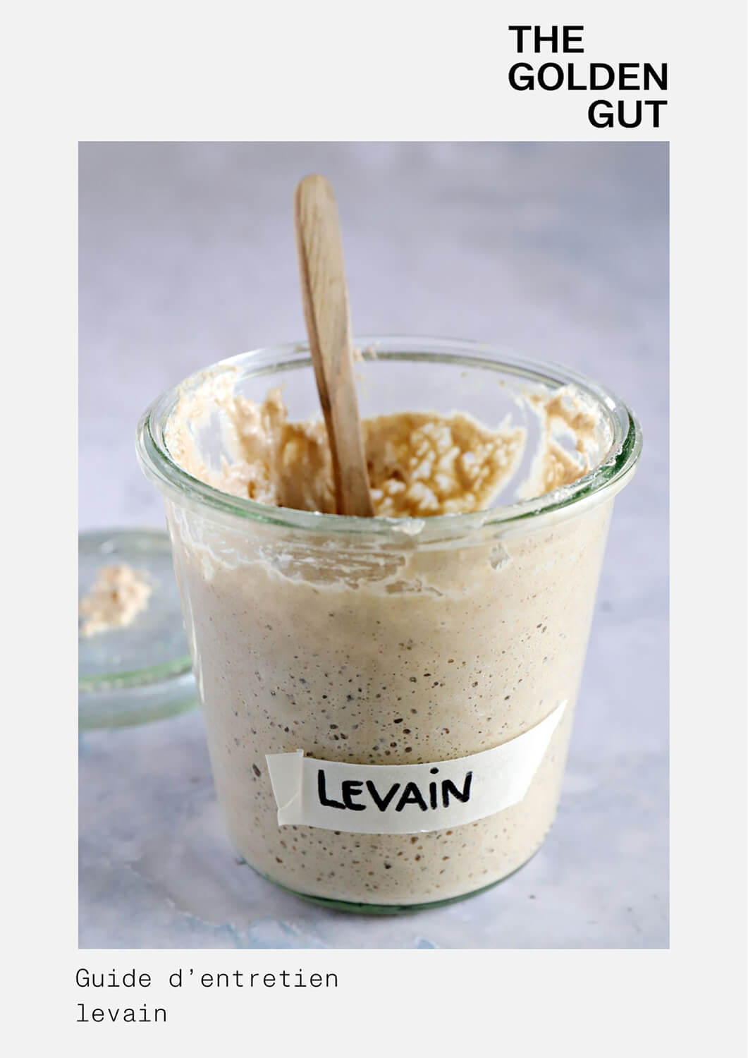 the golden gut ebook guide entretien du levain